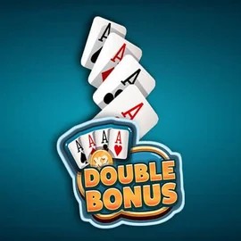 Play the Double Double Bonus slot by Red Rake Gaming on Vincispin Casino